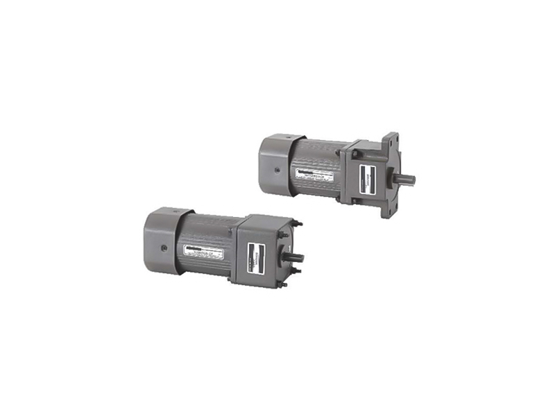 AC micro gear motors